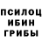 Псилоцибиновые грибы прущие грибы Just York