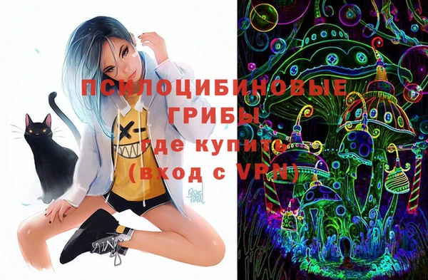 бошки Абдулино