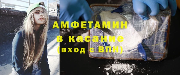 ПСИЛОЦИБИНОВЫЕ ГРИБЫ Арсеньев