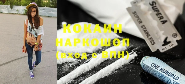 ПСИЛОЦИБИНОВЫЕ ГРИБЫ Арсеньев