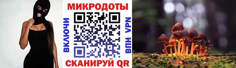 закладки  Вологда  blacksprut ссылка  Псилоцибиновые грибы MAGIC MUSHROOMS 